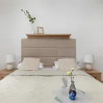 Lejlighed Modern & Functional With Air Conditioning And Balcony By Renters Kołobrzeg
